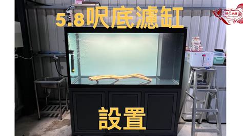 魚缸放龍邊還是虎邊|2024養龍魚新手指南，飼養龍魚不困難，開缸教學準。